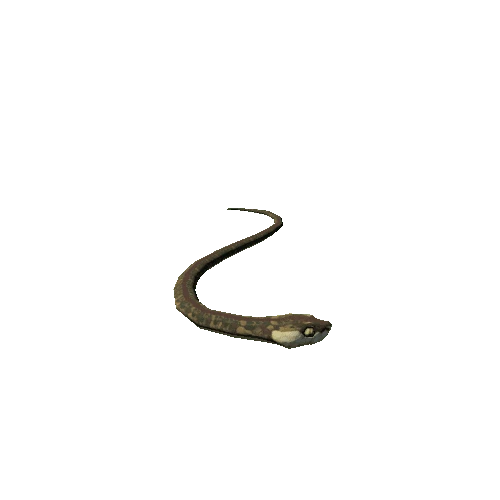 Snake 9